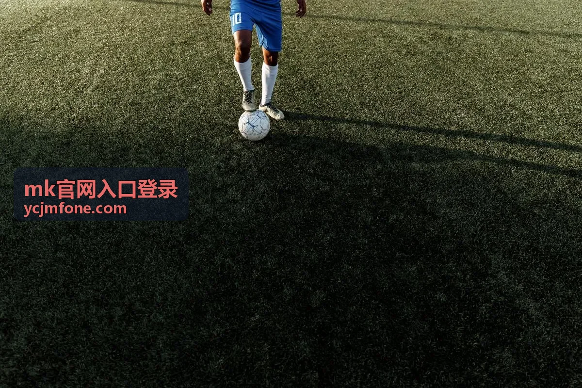MK官网入口登录 入口获取指引入口